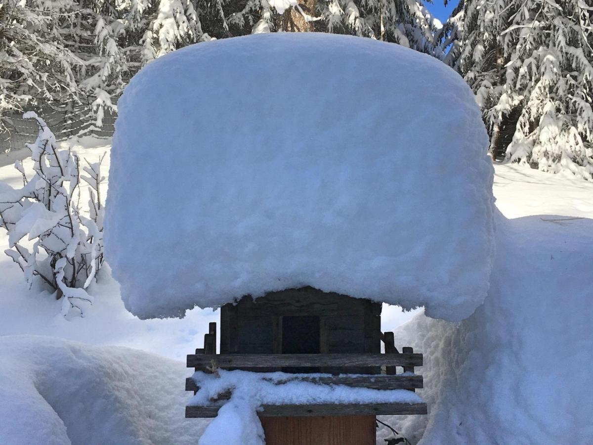 Guffertblick Villa Achenkirch Dış mekan fotoğraf